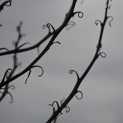 2016-12-10 Bordeaux/Cap Ferret/DSC_0149.JPG